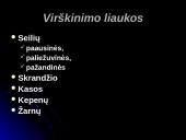 Virškinimas burnoje 4 puslapis