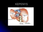 Virškinimas burnoje 7 puslapis