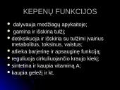 Virškinimas burnoje 8 puslapis