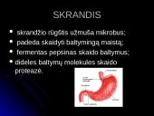 Virškinimas burnoje 9 puslapis