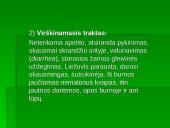 Vitamino PP avitaminozė 7 puslapis