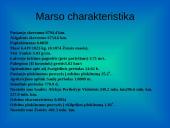 Žemės grupės planetos 10 puslapis