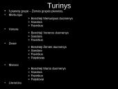 Žemė bei Žemės grupės planetos 2 puslapis