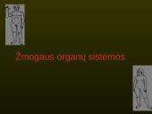 Žmogaus organų sistemos