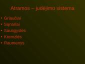 Žmogaus organų sistemos 2 puslapis