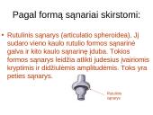 Žmogaus organų sistemos 12 puslapis