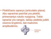 Žmogaus organų sistemos 14 puslapis