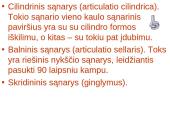 Žmogaus organų sistemos 16 puslapis