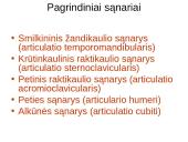 Žmogaus organų sistemos 18 puslapis
