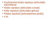 Žmogaus organų sistemos 19 puslapis