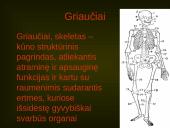 Žmogaus organų sistemos 3 puslapis