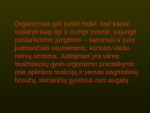 Žmogaus organų sistemos 4 puslapis