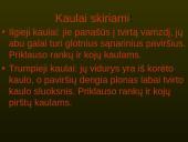 Žmogaus organų sistemos 6 puslapis