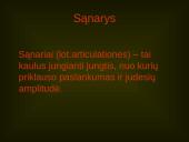 Žmogaus organų sistemos 8 puslapis