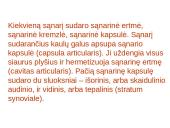 Žmogaus organų sistemos 9 puslapis