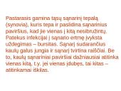 Žmogaus organų sistemos 10 puslapis