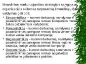 Žmogiškųjų išteklių problemos 18 puslapis