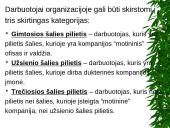 Žmogiškųjų išteklių problemos 19 puslapis