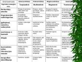 Žmogiškųjų išteklių problemos 20 puslapis