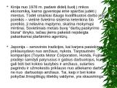 Žmogiškųjų išteklių problemos 10 puslapis