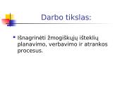 Žmogiškųjų išteklių planavimas, verbavimas ir atranka 2 puslapis