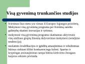 Žmonių ištekliai žinių ekonomikoje 11 puslapis