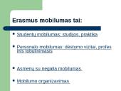 Žmonių ištekliai žinių ekonomikoje 17 puslapis