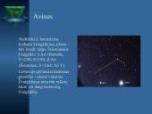 Įvairūs žvaigždynai 13 puslapis