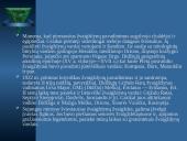 Įvairūs žvaigždynai 4 puslapis