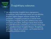 Įvairūs žvaigždynai 7 puslapis