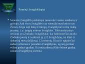 Įvairūs žvaigždynai 8 puslapis