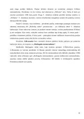 1993-2003 metų prezidentų funkcijos ir veikla 10 puslapis