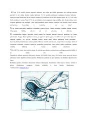 Savaiminis ir dirbtinis abortas 15 puslapis