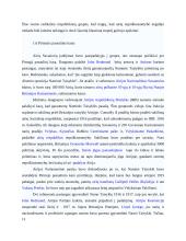 Airija: politinė kultūra ir politinė raida 10 puslapis