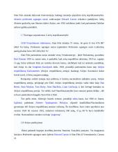 Airija: politinė kultūra ir politinė raida 11 puslapis