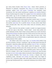 Airija: politinė kultūra ir politinė raida 12 puslapis