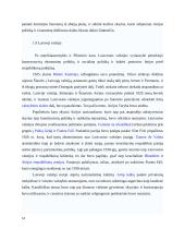 Airija: politinė kultūra ir politinė raida 13 puslapis