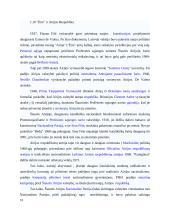 Airija: politinė kultūra ir politinė raida 14 puslapis