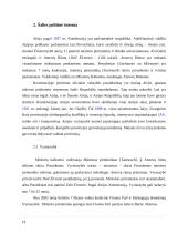 Airija: politinė kultūra ir politinė raida 18 puslapis