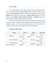 Airija: politinė kultūra ir politinė raida 19 puslapis