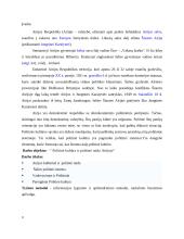 Airija: politinė kultūra ir politinė raida 2 puslapis