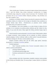 Airija: politinė kultūra ir politinė raida 20 puslapis