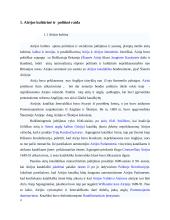 Airija: politinė kultūra ir politinė raida 3 puslapis