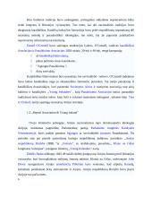 Airija: politinė kultūra ir politinė raida 5 puslapis