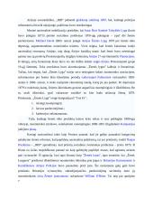 Airija: politinė kultūra ir politinė raida 6 puslapis