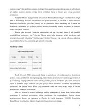 Airijos respublikos ir Rusijos federacijos  politiniai veikėjai ir procesai 8 puslapis