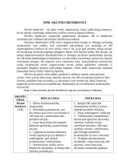 Akcinių bendrovių kapitalo sudėtis. Akcijų rūšys 3 puslapis