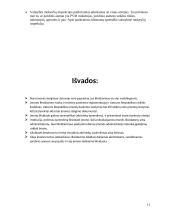 Akcinių bendrovių likvidavimas 10 puslapis