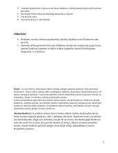 Akcinių bendrovių likvidavimas 2 puslapis