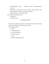 Alkoholizmas. Kaip įveikti alkoholio žalą 6 puslapis